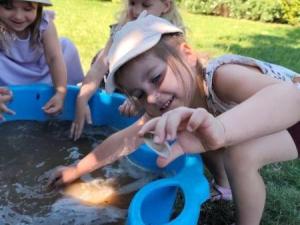 IMG_20250703_102630