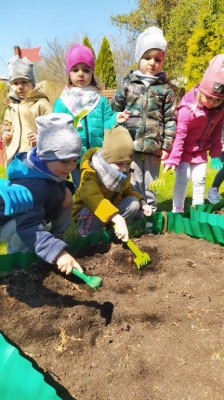 grupa Kangurki - Eko-Kącik - Założenie wiosennego ogródka, sadzenie nasion, ziół i cebulek kwiatowych