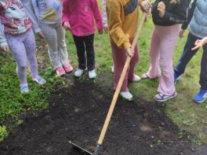 IMG_20250611_131524