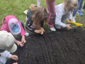 IMG_20250611_131944