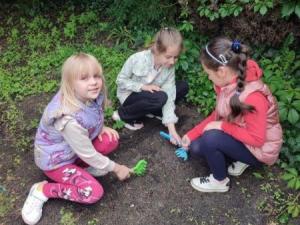 IMG_20250613_111614