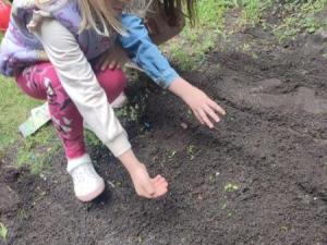 IMG_20250613_111926