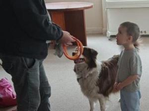 IMG_20250326_095229