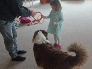 IMG_20250326_095338