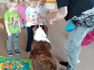 IMG_20250326_110438