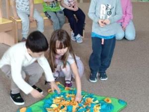 IMG_20250326_110638