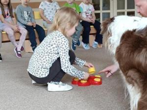IMG_20250326_111025