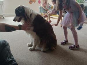 IMG_20250326_113044