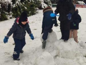 IMG_20251127_124751