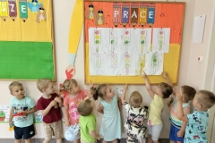 zzz