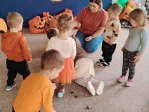 IMG_20251030_1003001