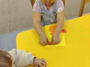 IMG_20260525_102946
