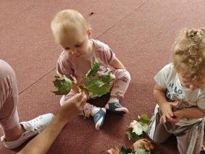 IMG202509290946211