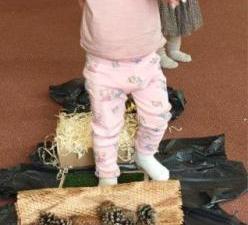 IMG_20250929_1012431