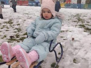 IMG_20251201_095452